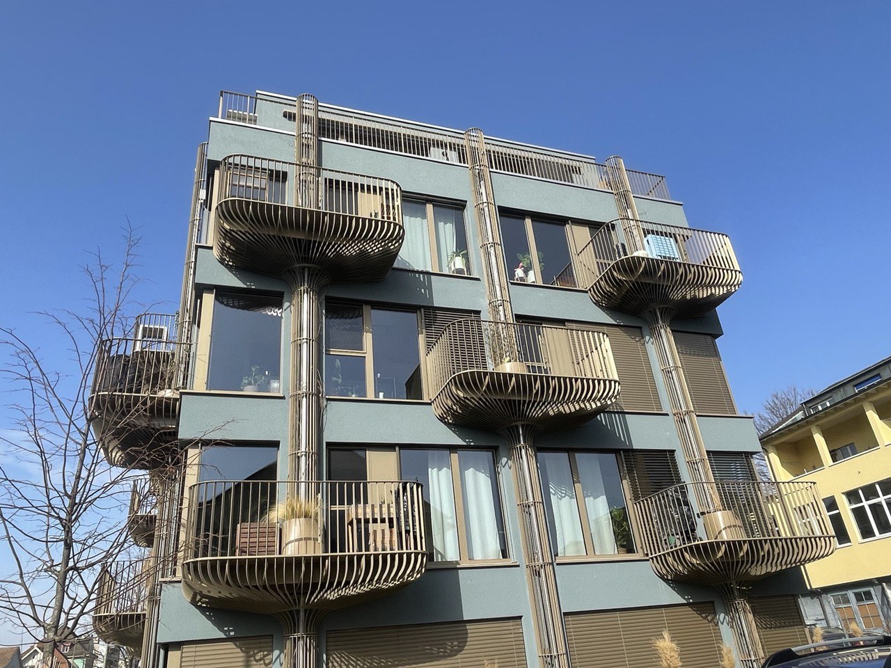 Lindengarten - Bild 4