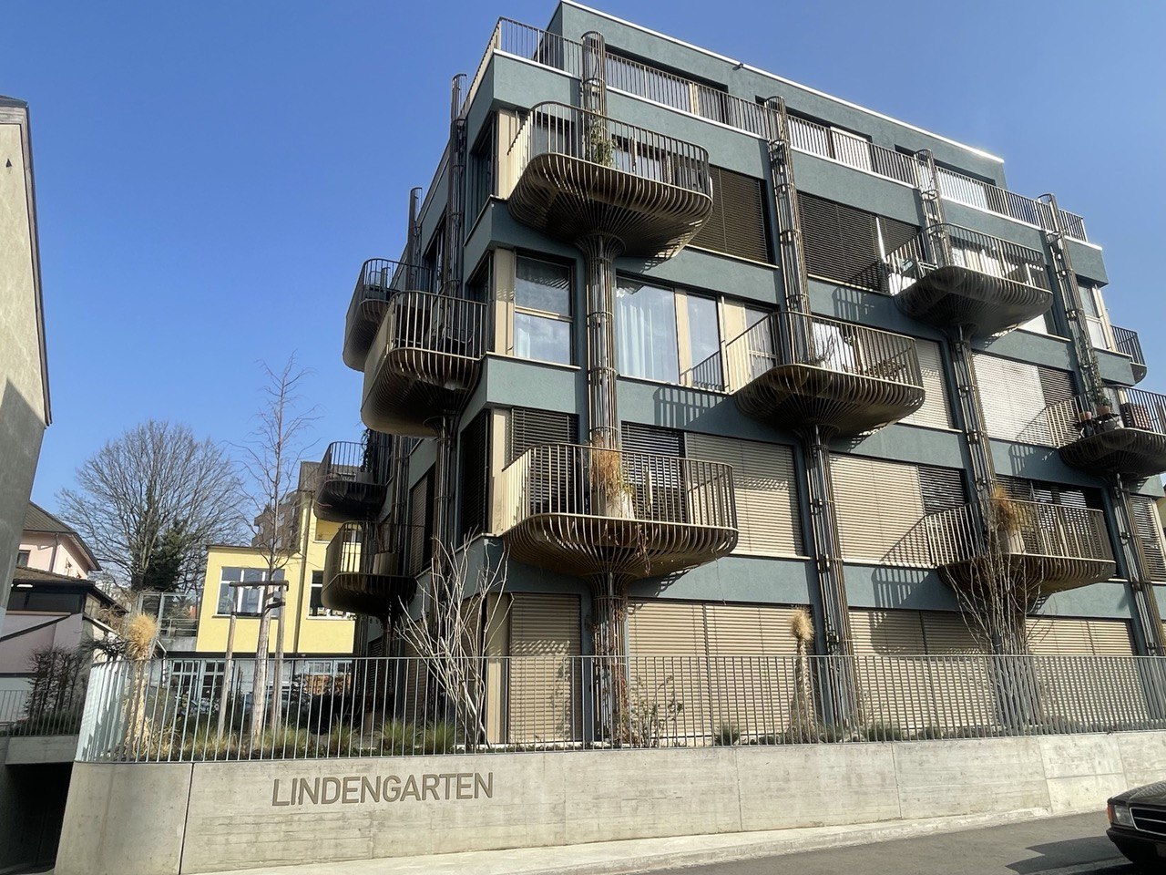 Lindengarten - Bild 7