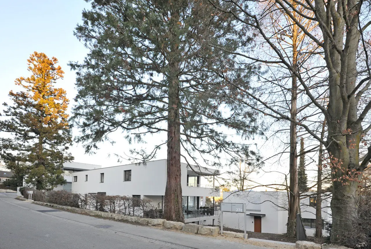 Weinbergstrasse - Bild 4